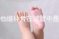 屈他維林片在試管中是否有副作用,導(dǎo)致胎停不是空穴來風(fēng)