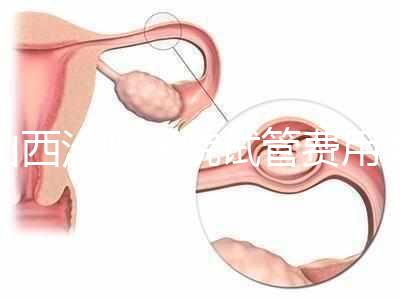 山西汾陽醫(yī)院試管費用清單公布,2024年生殖科助孕成功率公布