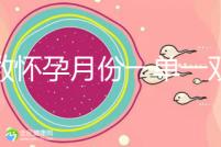 歲數懷孕月份一單一雙懷兒子幾率小？那是你沒按照農歷來