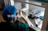 快速懷孕有秘訣！卵泡破裂后多久同房是關(guān)鍵