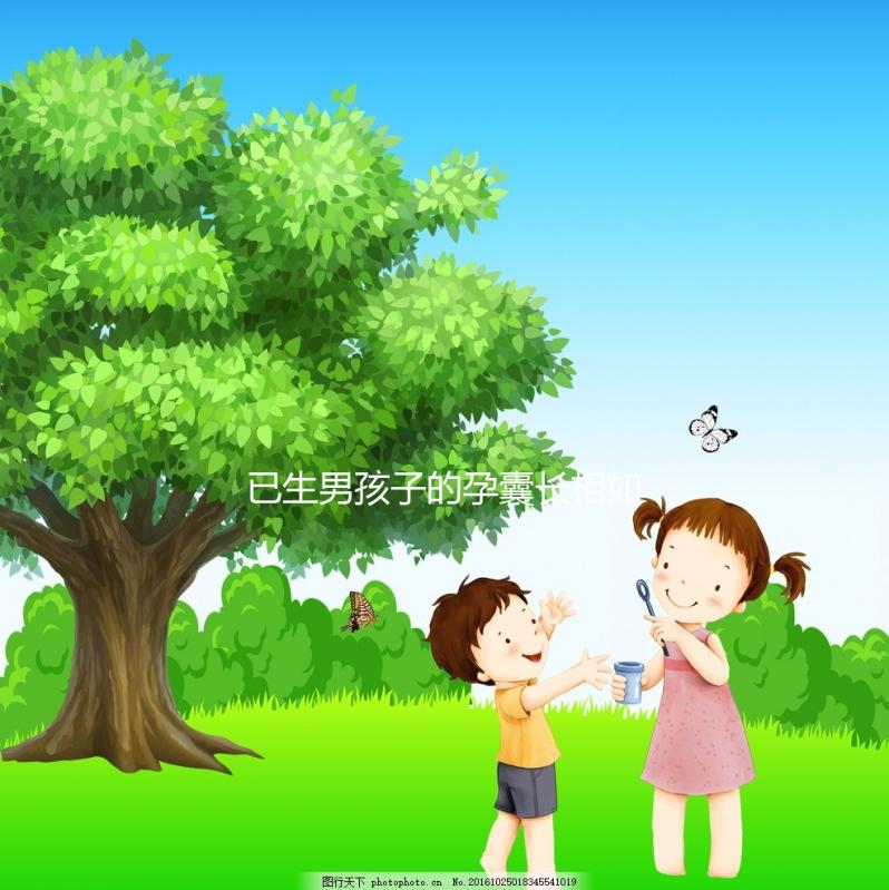 已生男孩子的孕囊長相如此怪異，圖片參考對照看看