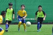 廣東哪個醫院做試管嬰兒成功率較高？