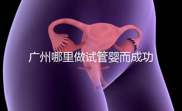 廣州哪里做試管嬰而成功率高？如何提高成功率？