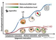 廣州hpv疫苗預約流程攻略，詳細地址加電話收好不謝