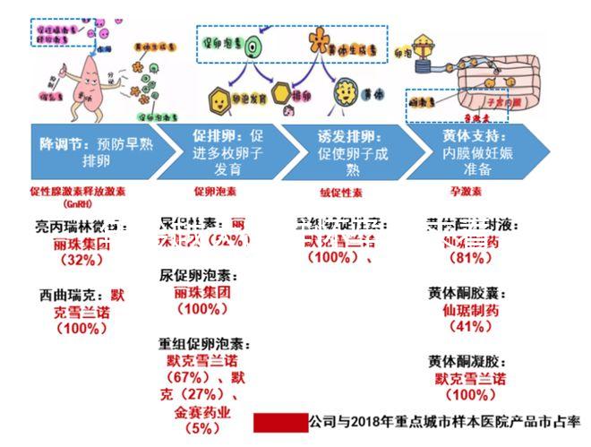 年齡越大越難懷孕！來(lái)看看44歲試管嬰兒的成功率有多少？