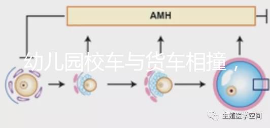 幼兒園校車與貨車相撞，乘坐校車要告訴寶寶注意事項！