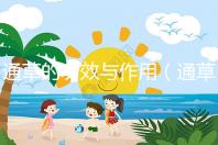 通草的功效與作用（通草的功效與作用主要治什么?。? /></div><dfn date-time=