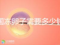韓國(guó)凍卵子需要多少錢(qián)？海外還有哪些國(guó)家能凍卵？