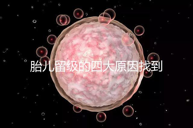 胎兒留級的四大原因找到了！多半和媽媽太懶不運動有關系