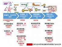 胎膜早破、陰道出血,宮頸環扎術后并發癥危害別忽視