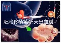 胚胎移植第43天出血別著急,先來看看是什么原因