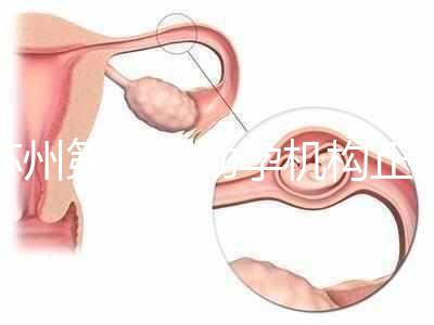 蘇州第三代助孕機構(gòu)正規(guī)可靠嗎?實地考察才為真
