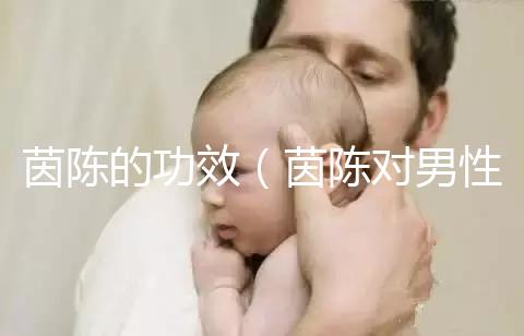 茵陳的功效（茵陳對男性性功能好嗎）