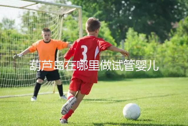 葫蘆島在哪里做試管嬰兒好？盛京和202醫院是熱門選擇