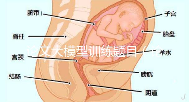 論文大模型訓(xùn)練題目（論文大模型訓(xùn)練題目怎么寫(xiě)）