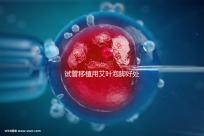 試管移植用艾葉泡腳好處多，幫助胚胎著床僅為其作用之一