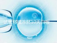 試管移植凍胚10天白板咋辦？懷孕還有希望別擔心