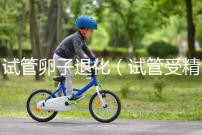 試管卵子退化(試管受精卵退化什么原因)