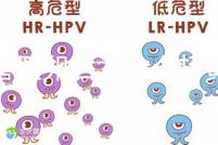 試管取卵后為什么打黃體酮？3大作用的目的都殊途同歸