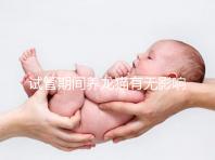 試管期間養(yǎng)龍貓有無(wú)影響剖析,是否胎停、流產(chǎn)取決這幾點(diǎn)