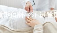 試管期間懷了(試管期間懷了雙胞胎)