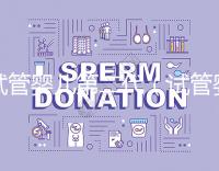 試管嬰兒第二代(試管嬰兒第二代和第三代有什么區(qū)別)