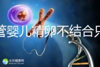 試管嬰兒精卵不結合只是基因問題？這幾大原因告知真相