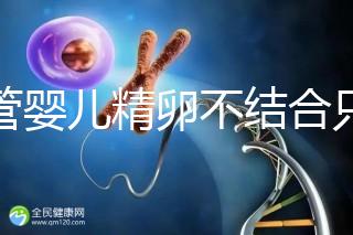 試管嬰兒精卵不結合只是基因問題?這幾大原因告知真相