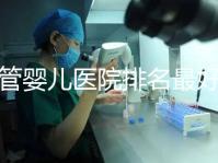 試管嬰兒醫院排名最好(上海試管嬰兒醫院排名最好)