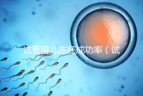 試管嬰兒凍胚成功率(試管嬰兒凍胚成功率高嗎)