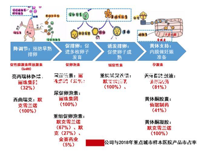 試管嬰兒前,禁欲時間越長,精子質(zhì)量越好嗎?