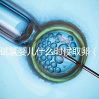 試管嬰兒什么時候取卵(試管嬰兒什么時候取卵和移植)