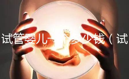 試管嬰兒一個(gè)多少錢(試管嬰兒多錢一次)