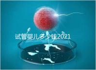 試管嬰兒多少錢2021（試管嬰兒多少錢2021年成功率）