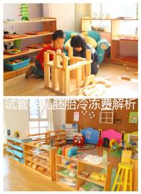 試管嬰兒胚胎冷凍費(fèi)解析,一年下來大概要花這么多