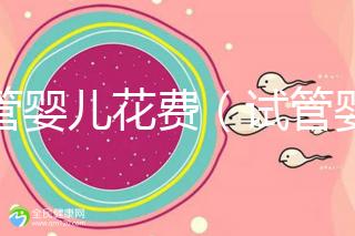 試管嬰兒花費（試管嬰兒花費多少錢？）