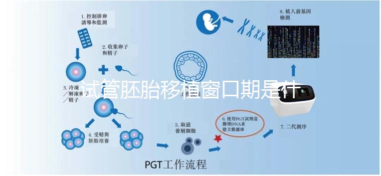 試管胚胎移植窗口期是什么？如何選對時機？