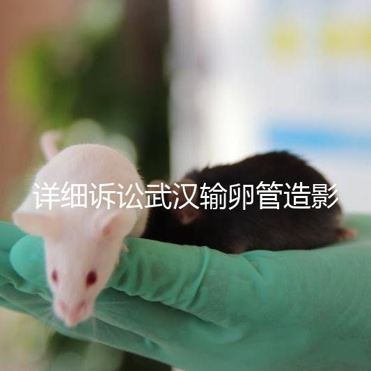 詳細訴訟武漢輸卵管造影檢查多少錢，能否報銷，不要錯過