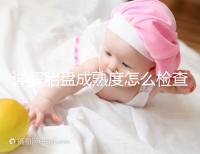 詳解胎盤成熟度怎么檢查、正常值是多少，附超聲報告解讀