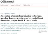 達(dá)芙通是什么藥?試管移植后胚胎著床的推手