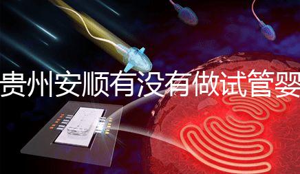 貴州安順有沒有做試管嬰兒的醫院?答案全在這里