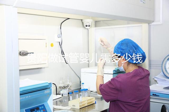 貴陽(yáng)做試管嬰兒需多少錢(qián)?姐妹們都在哪些醫(yī)院做試管