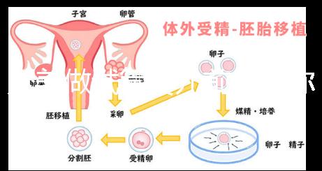 赴美做試管嬰兒前，教你如何攻破最難的“醫療簽證”！