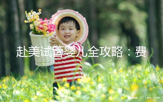 赴美試管嬰兒全攻略:費用、流程、成功率一次看懂