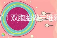 賺了！雙胞胎做三維彩超檢查報告不僅準確，還拒絕雙收費