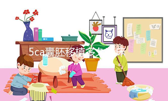 5ca囊胚移植多久著床、有何反應(yīng)答案來了，第8天白板要警惕