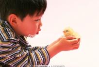 6ba囊胚好不好？醫生:調理好身體才是提升成功率的基礎