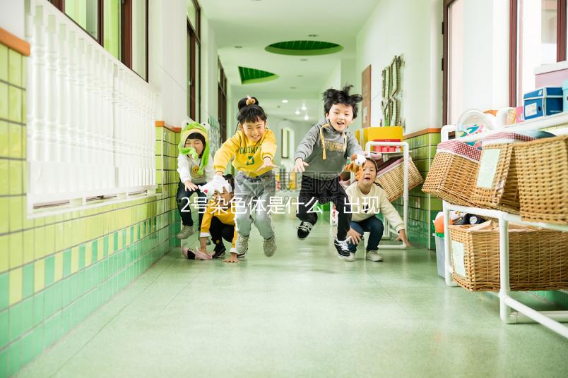 2號(hào)染色體是什么,出現(xiàn)異常有哪些后果