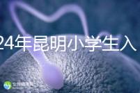 2024年昆明小學生入學政策出臺,五華區年齡限制重點