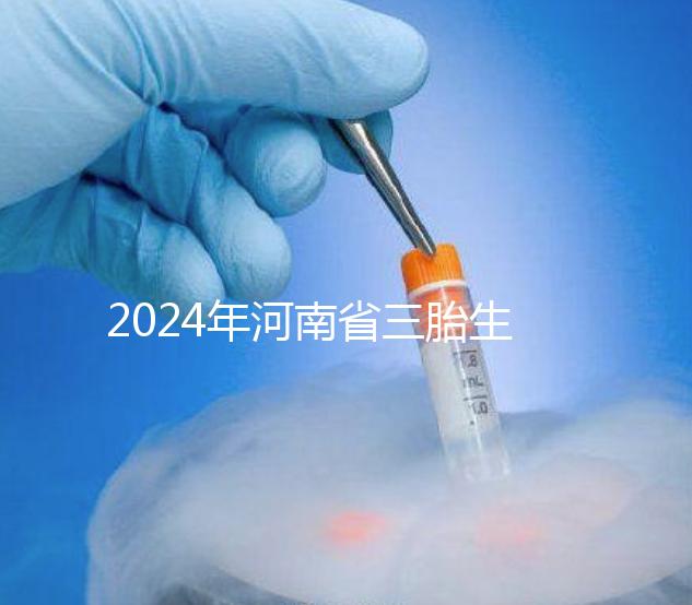 2024年河南省三胎生育津貼發(fā)生變化！南陽和信陽最高獎勵20萬！